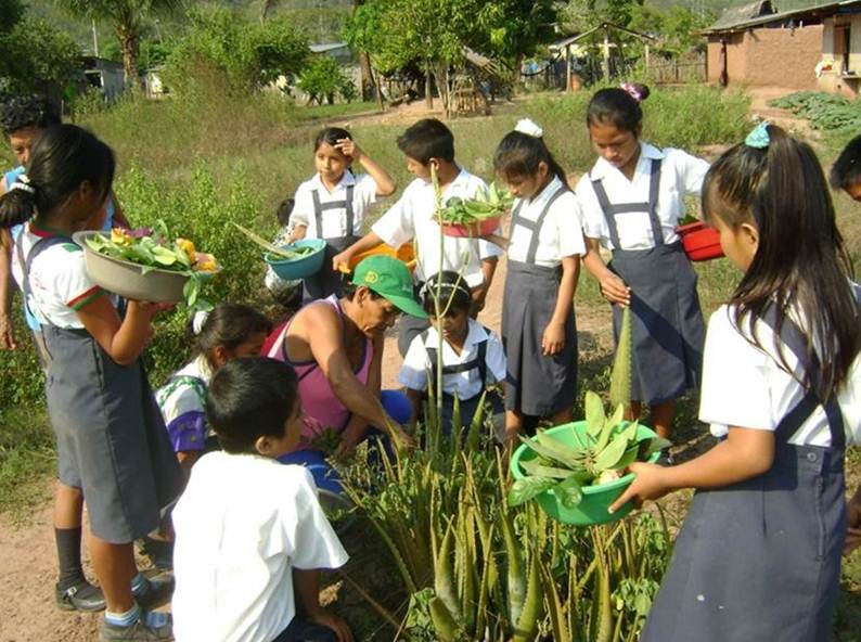 Afirmacao cultural.jpg